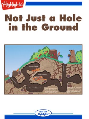 cover image of Not Just a Hole in the Ground